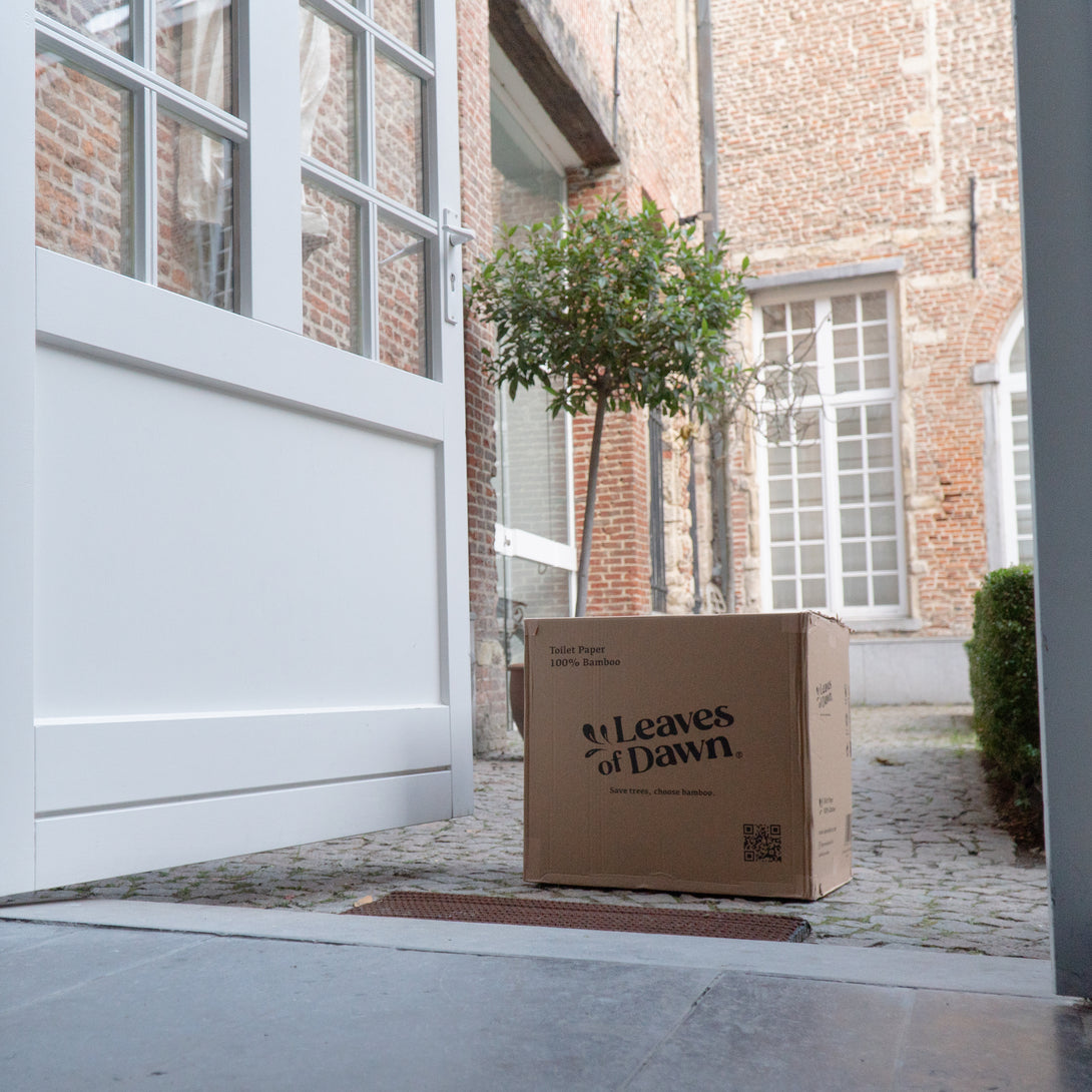 Leaves of Dawn bamboo toilet paper cardboard box in front of a door.