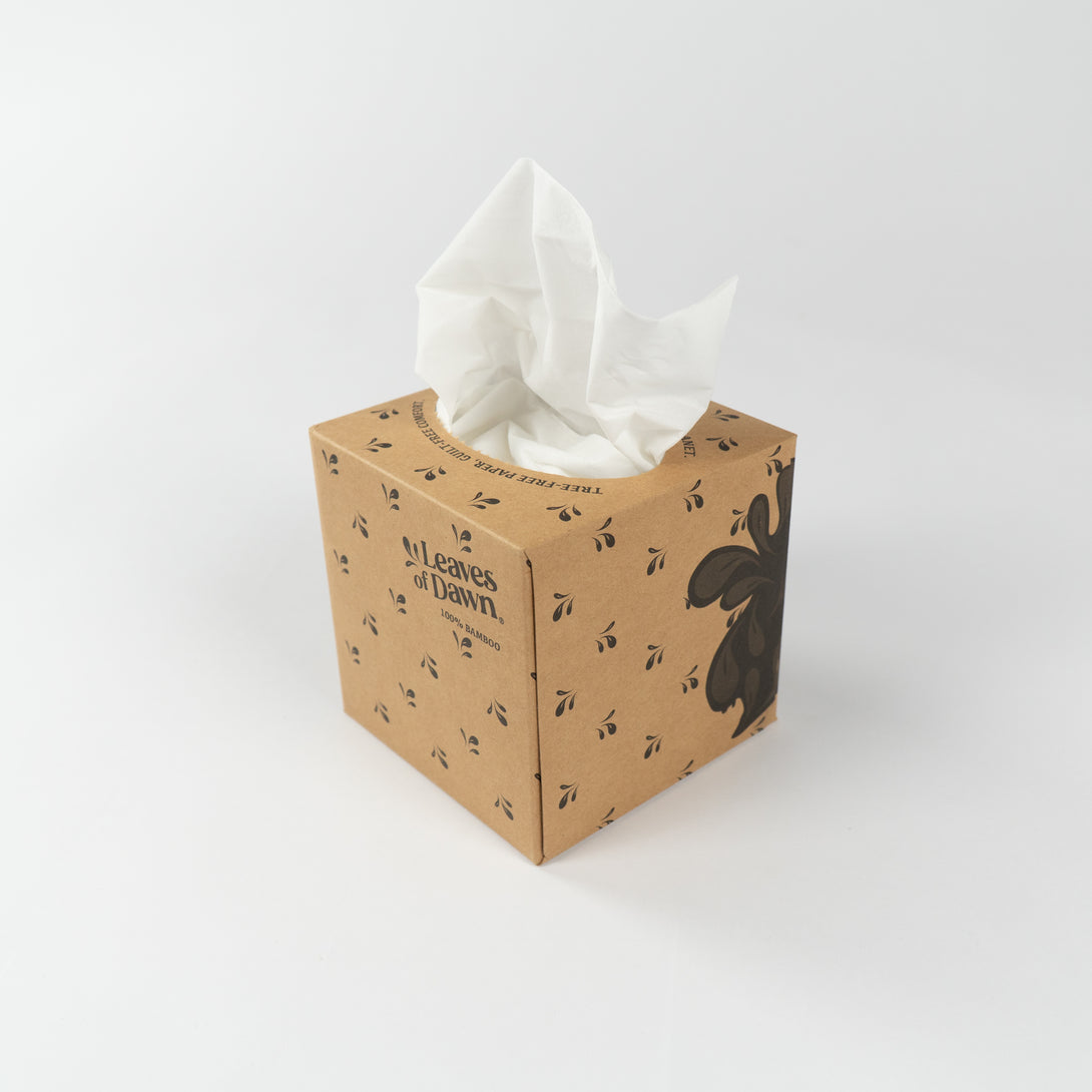 Leaves of Dawn bamboo tissue papers open box packshot.